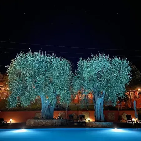 Hotel Poggio Degli Ulivi Rodi Garganico