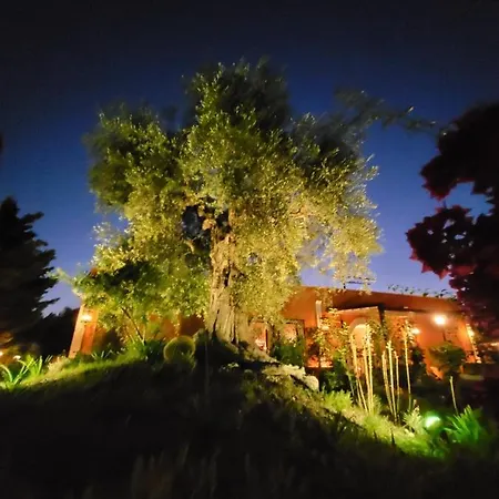 Poggio Degli Ulivi 3*