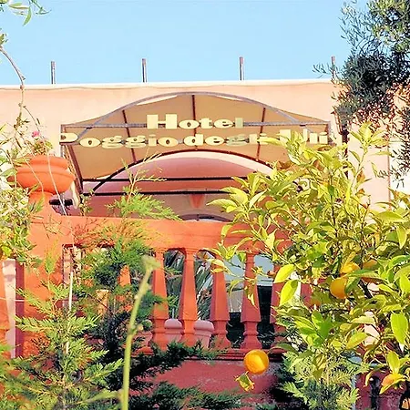 Poggio Degli Ulivi 3* Rodi Garganico